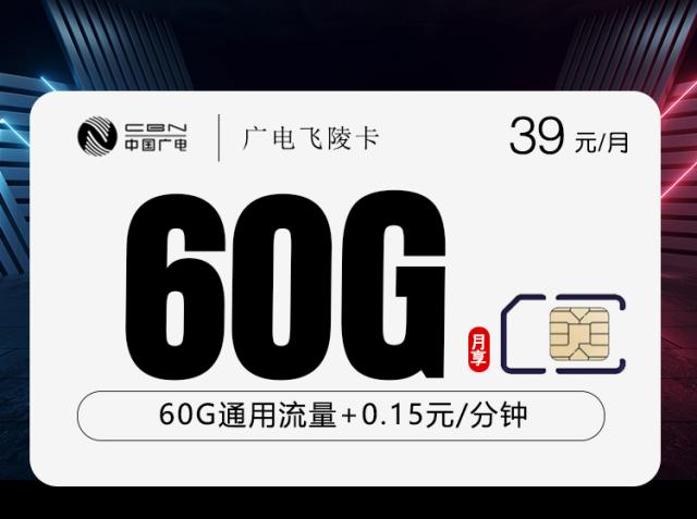广电飞陵卡【39元60G】【仅发重庆】